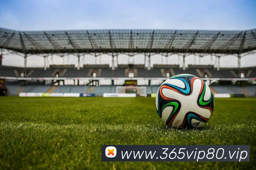 bet365官网APP 封面图